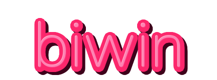 biwin — logo kanal
